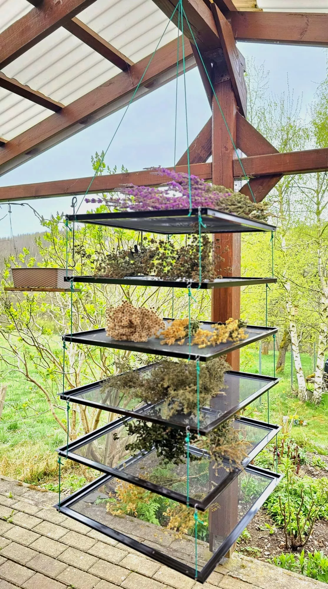 Kräutertrockner aus eigener Herstellung